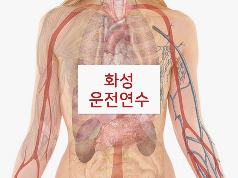 화성운전연수 후기