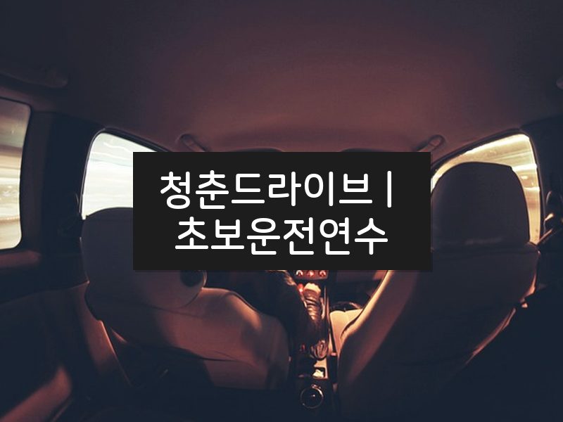 청춘드라이브 | 초보운전연수 후기