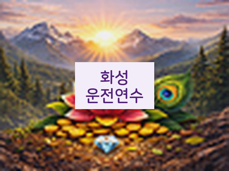 화성운전연수 후기