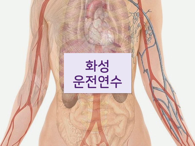 화성운전연수 후기