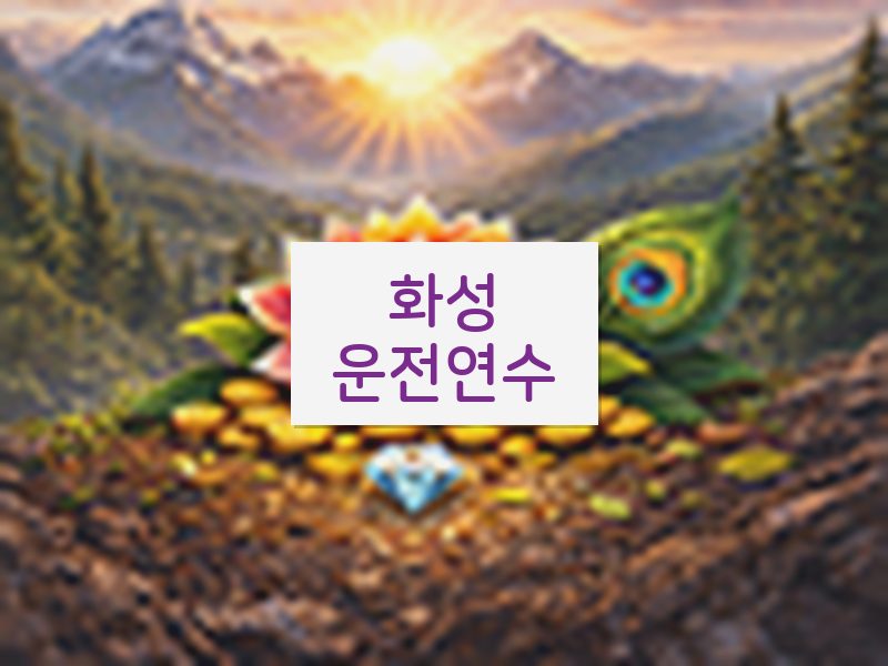 화성운전연수 후기
