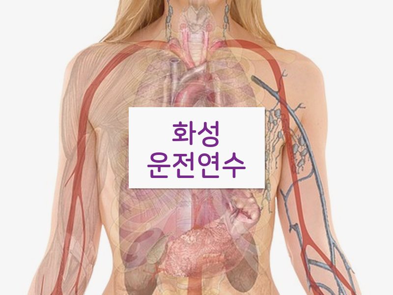 화성운전연수 후기