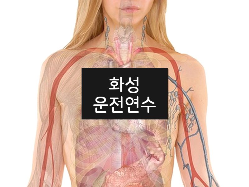 화성운전연수 후기