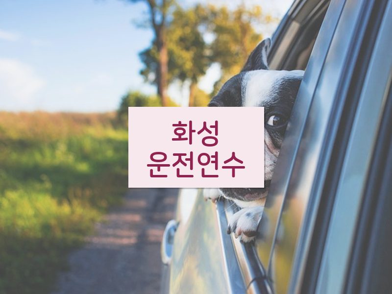 화성운전연수 후기