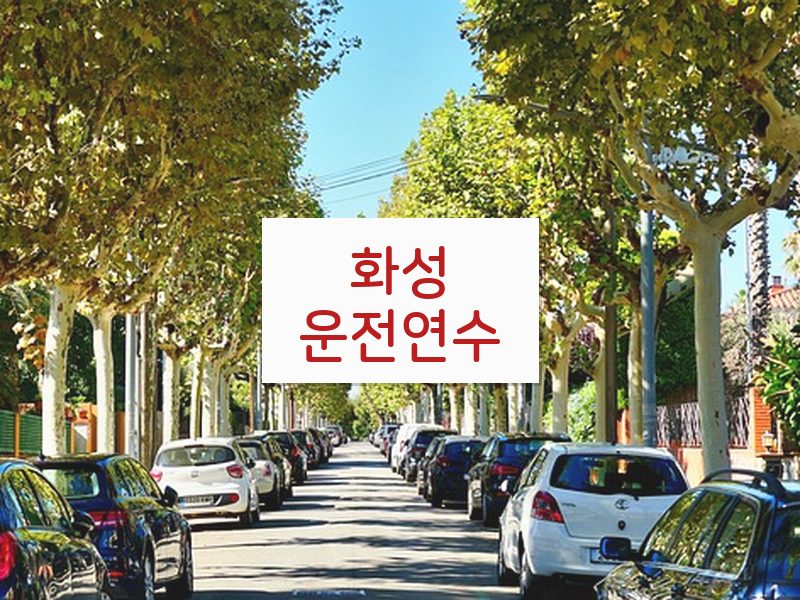화성운전연수 후기