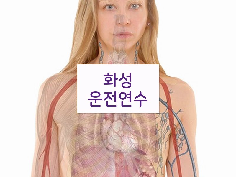 화성운전연수 후기