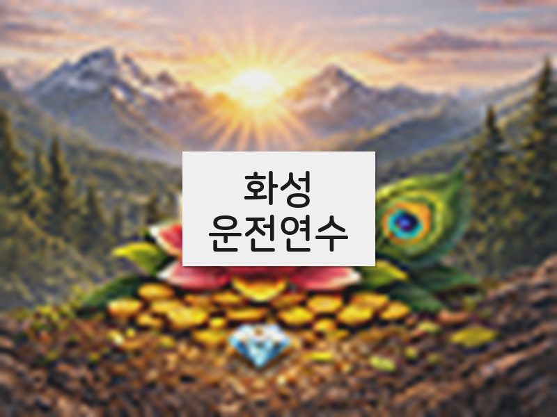 화성운전연수 후기