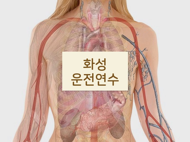 화성운전연수 후기