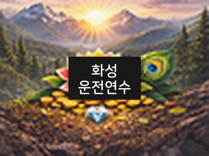 화성운전연수 후기