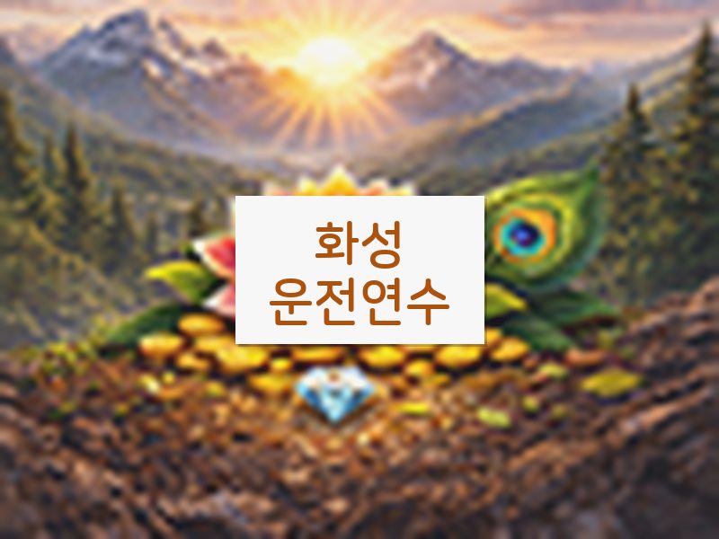화성운전연수 후기