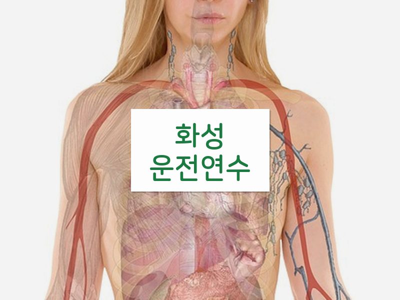 화성운전연수 후기