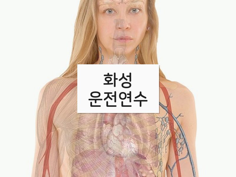 화성운전연수 후기