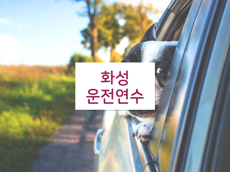 화성운전연수 후기