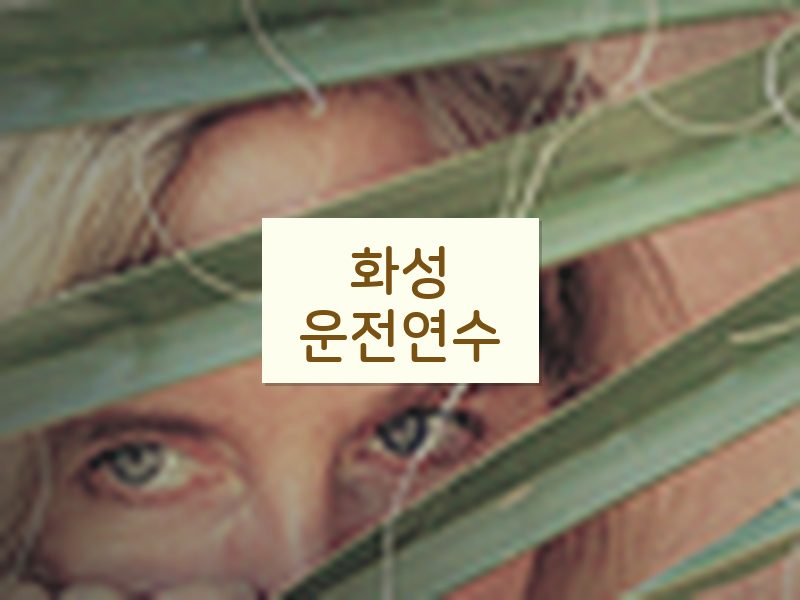 화성운전연수 후기