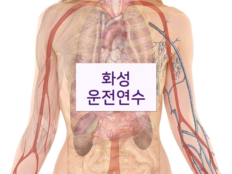 화성운전연수 후기