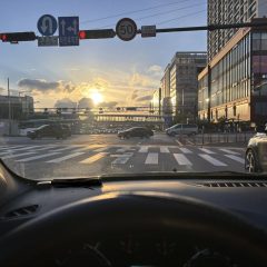 야간 운전 도전