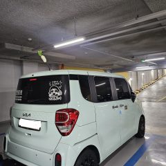 아동용 차량 운전 배우기