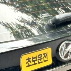 [화성] 운전연수 3일 만에 출퇴근길 마스터 후기