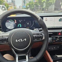 아침 운전 진짜 무서웠어요