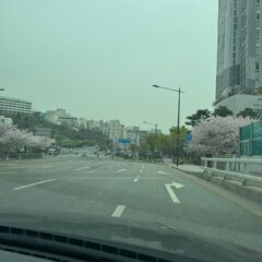 고속도로 합류 무서워서