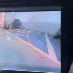 주말 나들이 완전 즐거워요