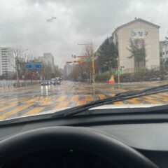 장롱면허 8년 만에 탈출한 야간운전연수 후기