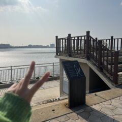 경사로 주차 놀라운 성공!