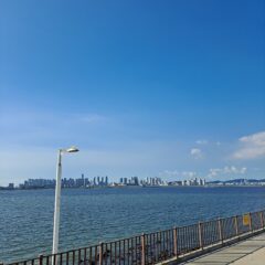 야간 운전 도전