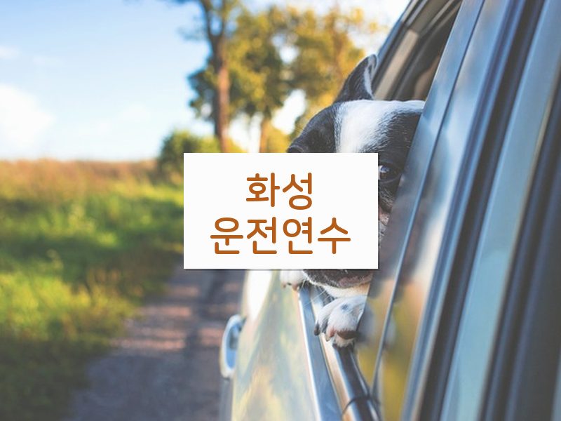 화성운전연수 후기