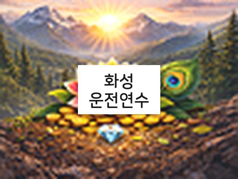 화성운전연수 후기