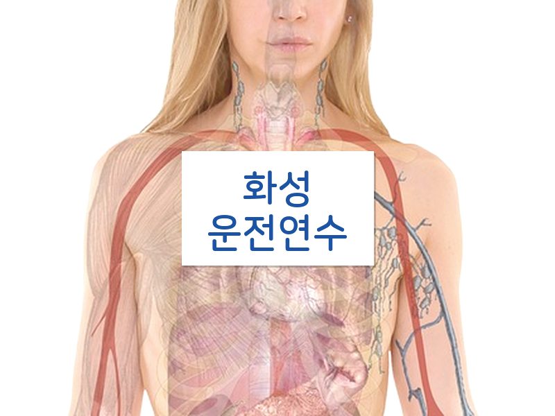 화성운전연수 후기