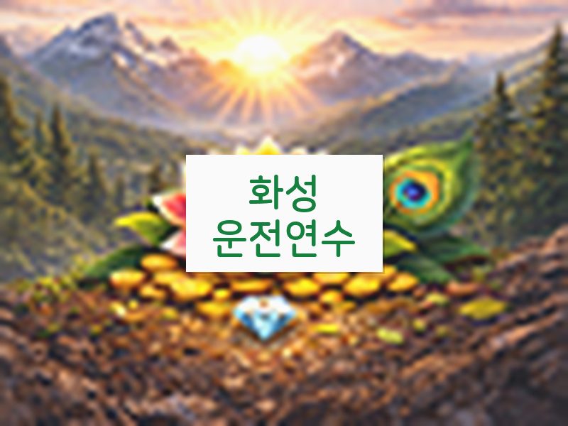 화성운전연수 후기