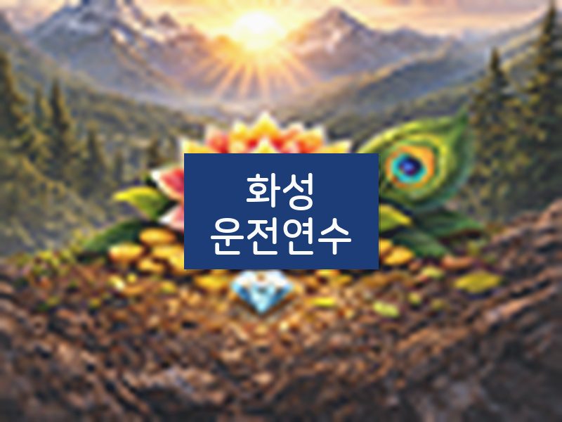 화성운전연수 후기